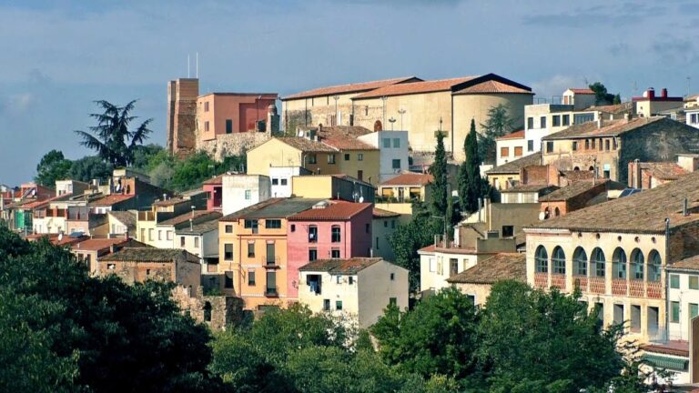 Rutas de Vinos Imperdibles desde Tarragona